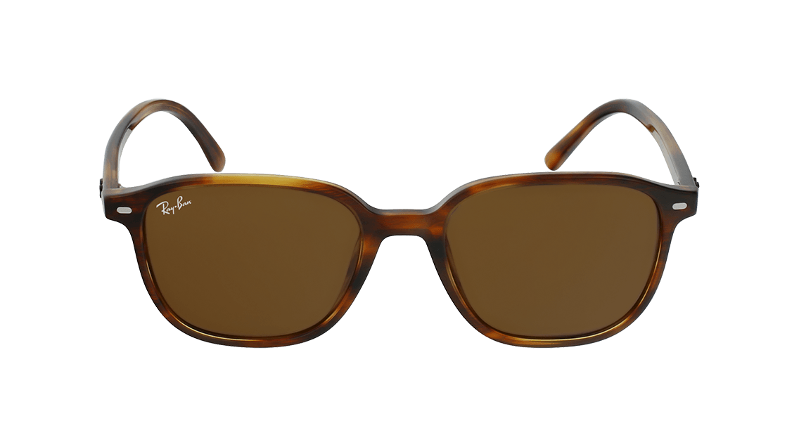 Rayban RB 2193 RB2193 Leonard Sunglasses